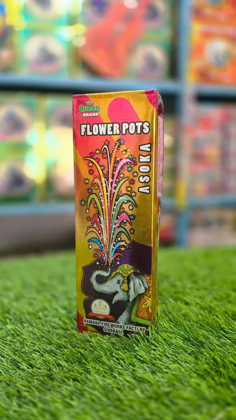 Asoka flower pots