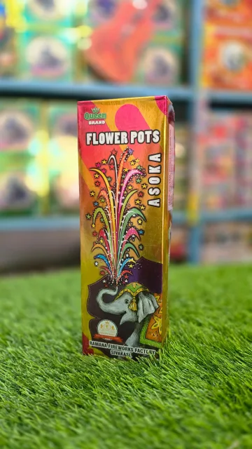 Asoka flower pots